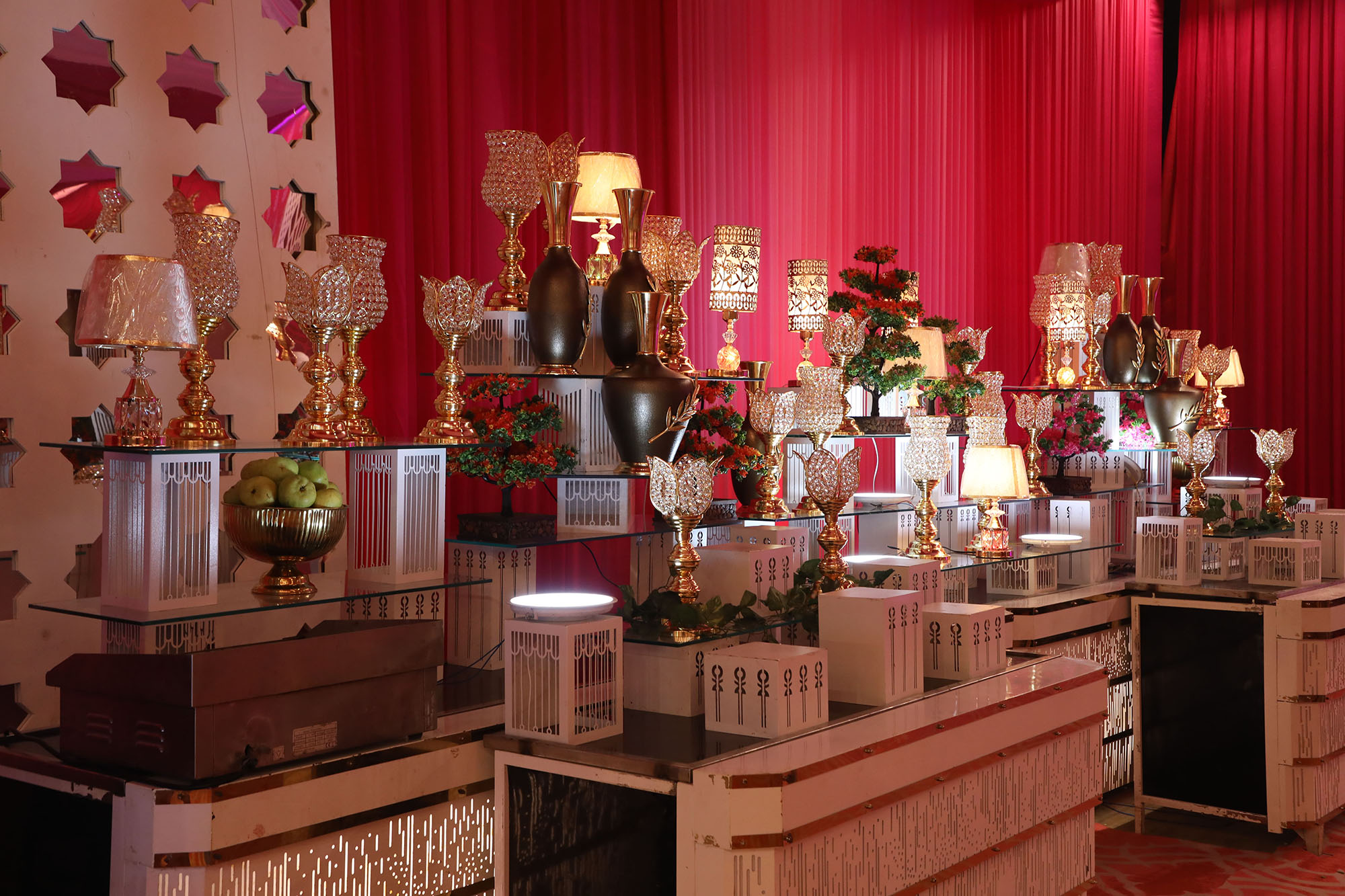 Wedding at Antilia